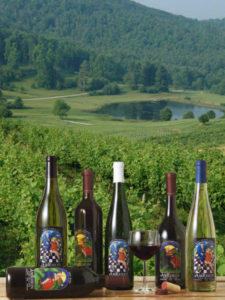 original_AmRhein-Wine-Cellarsbottles-n-vineyard-4-x-6.jpg
