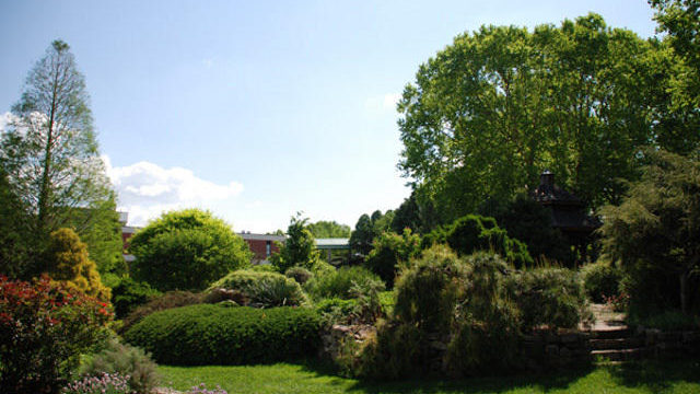 The Community Arboretum