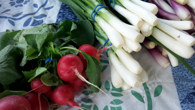 Catawba Valley Farmers Market