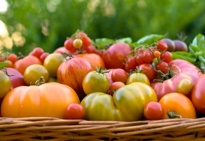 Grandin Village Farmers Market