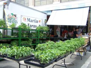 original_martin-farms-produce-downtown-roanoke-city-market-fincastle0.jpg