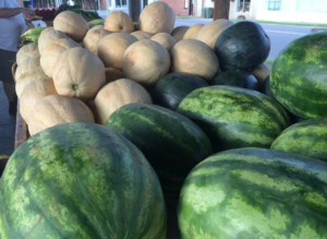 original_salem-farmers-market-melons0.png