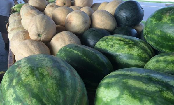 Salem Farmers Market