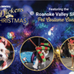 Delta Dental Dickens of a Christmas - Pet Costume Contest