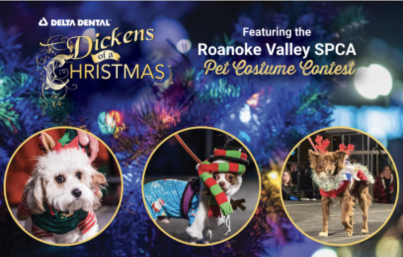 Delta Dental Dickens of a Christmas - Pet Costume Contest