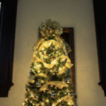 Candlelight Christmas Tours: The Fishburn Mansion 2025