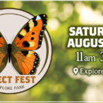 Insect Fest at Explore Park