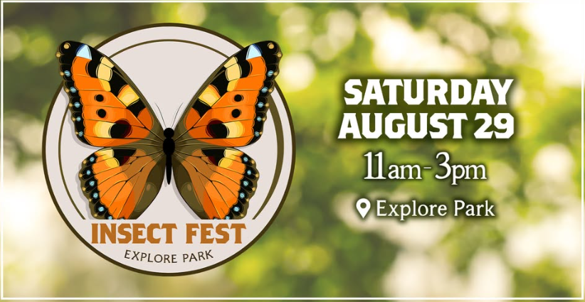 Insect Fest at Explore Park