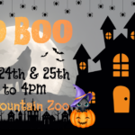 Zoo Boo at Mill Mountain Zoo